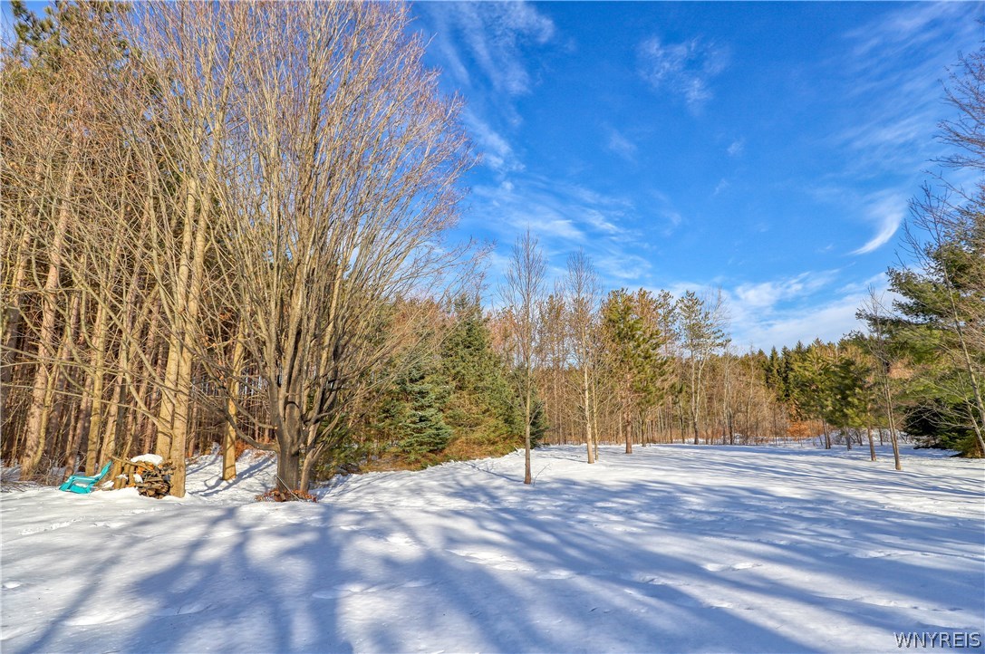 9403 Monk Hill Road East Otto, NY 14729 - Photo 30 of 35
