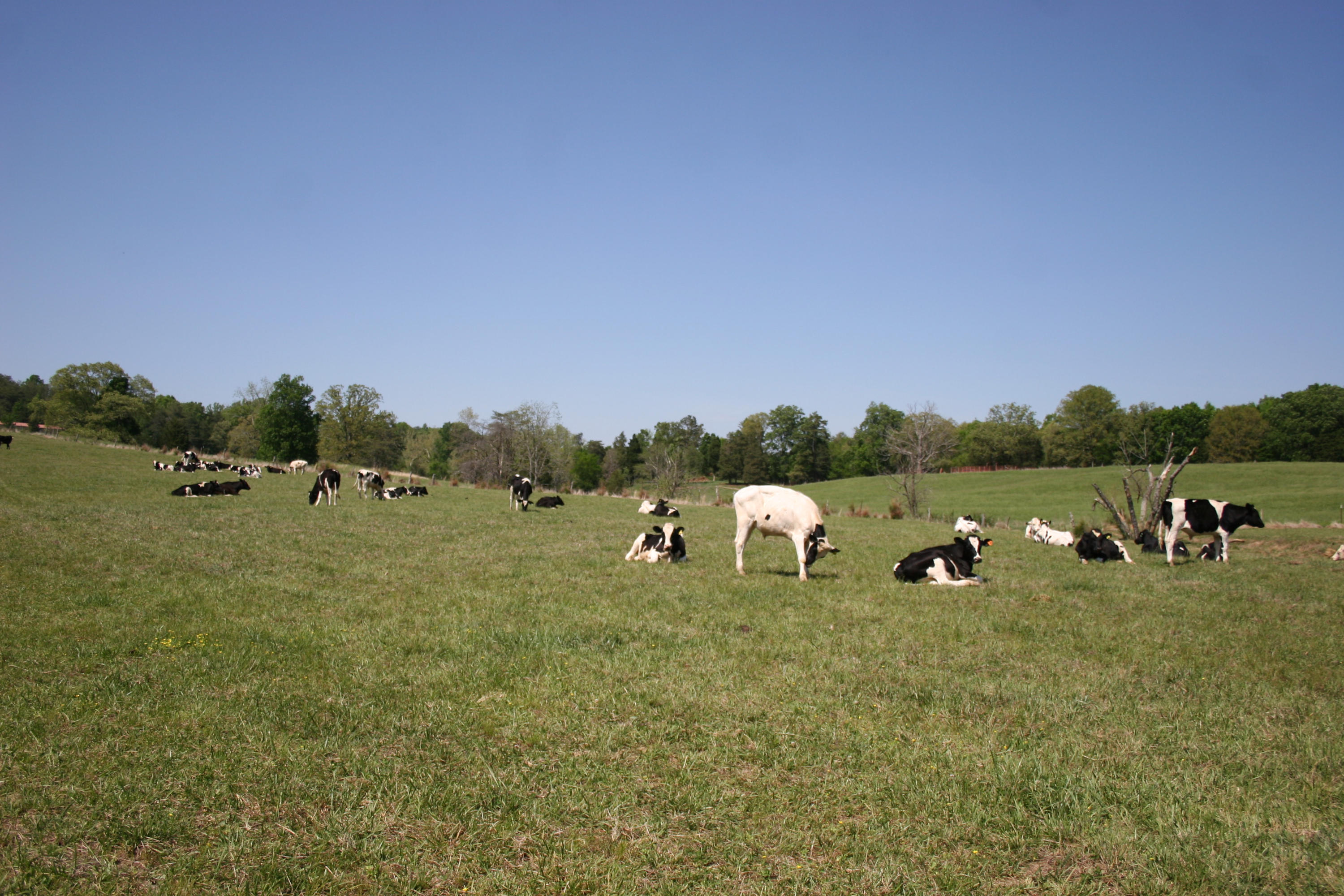 Tilley Road Madisonville, TN 37354 - Photo 1 of 24 Main