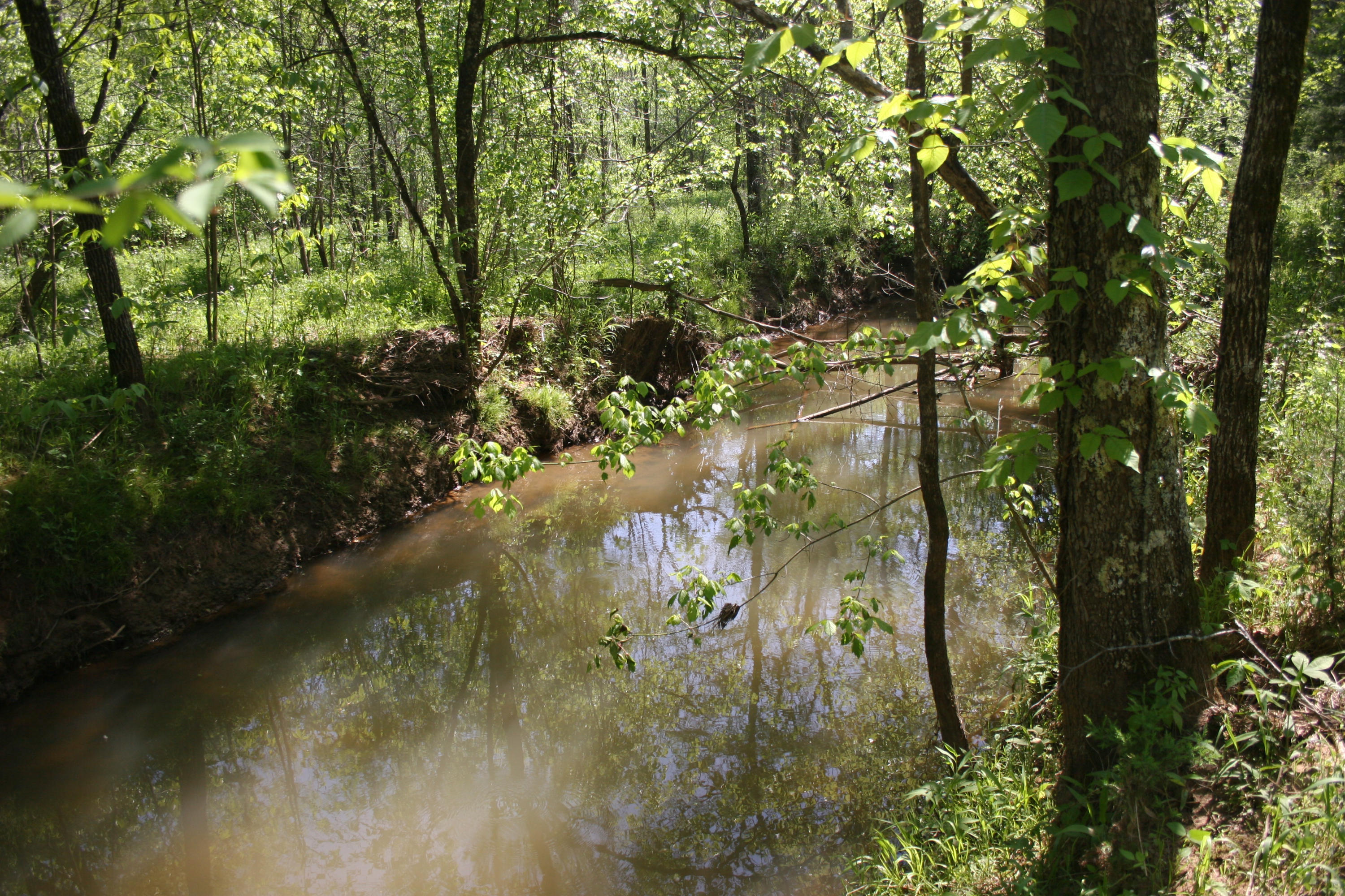 Tilley Road Madisonville, TN 37354 - Photo 14 of 24 IMG_0855