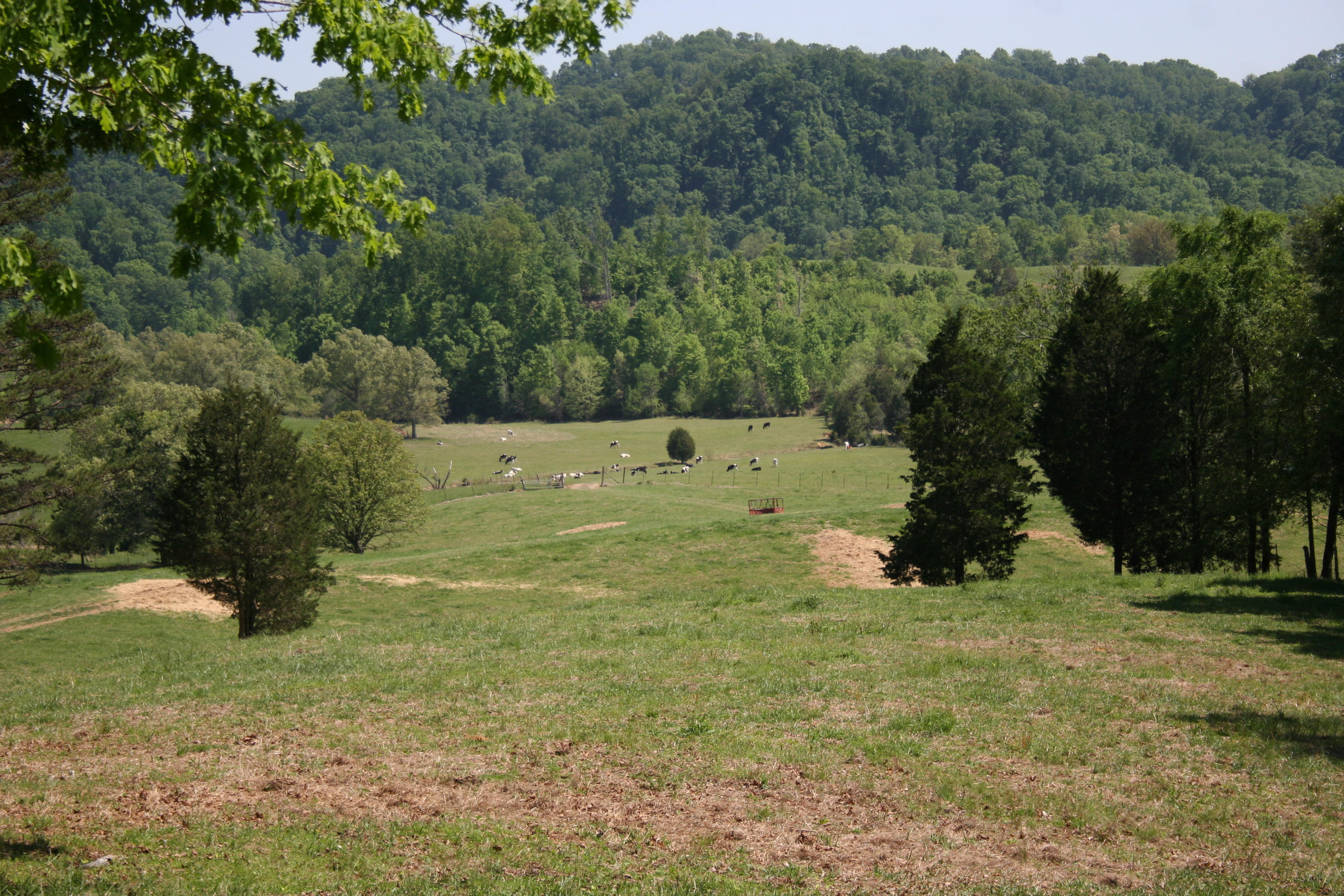 Tilley Road Madisonville, TN 37354 - Photo 3 of 24 IMG_0842