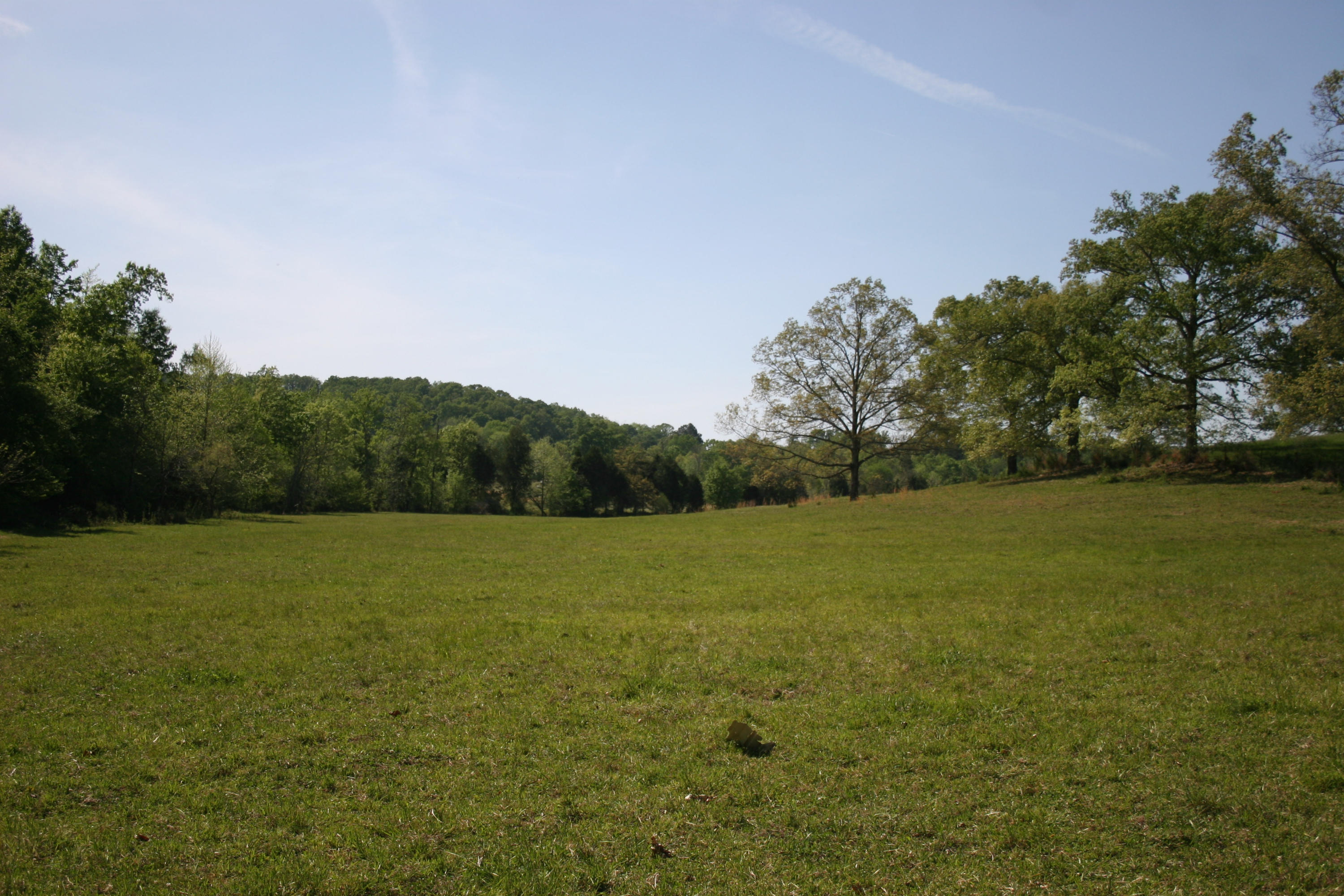 Tilley Road Madisonville, TN 37354 - Photo 22 of 24 IMG_0863
