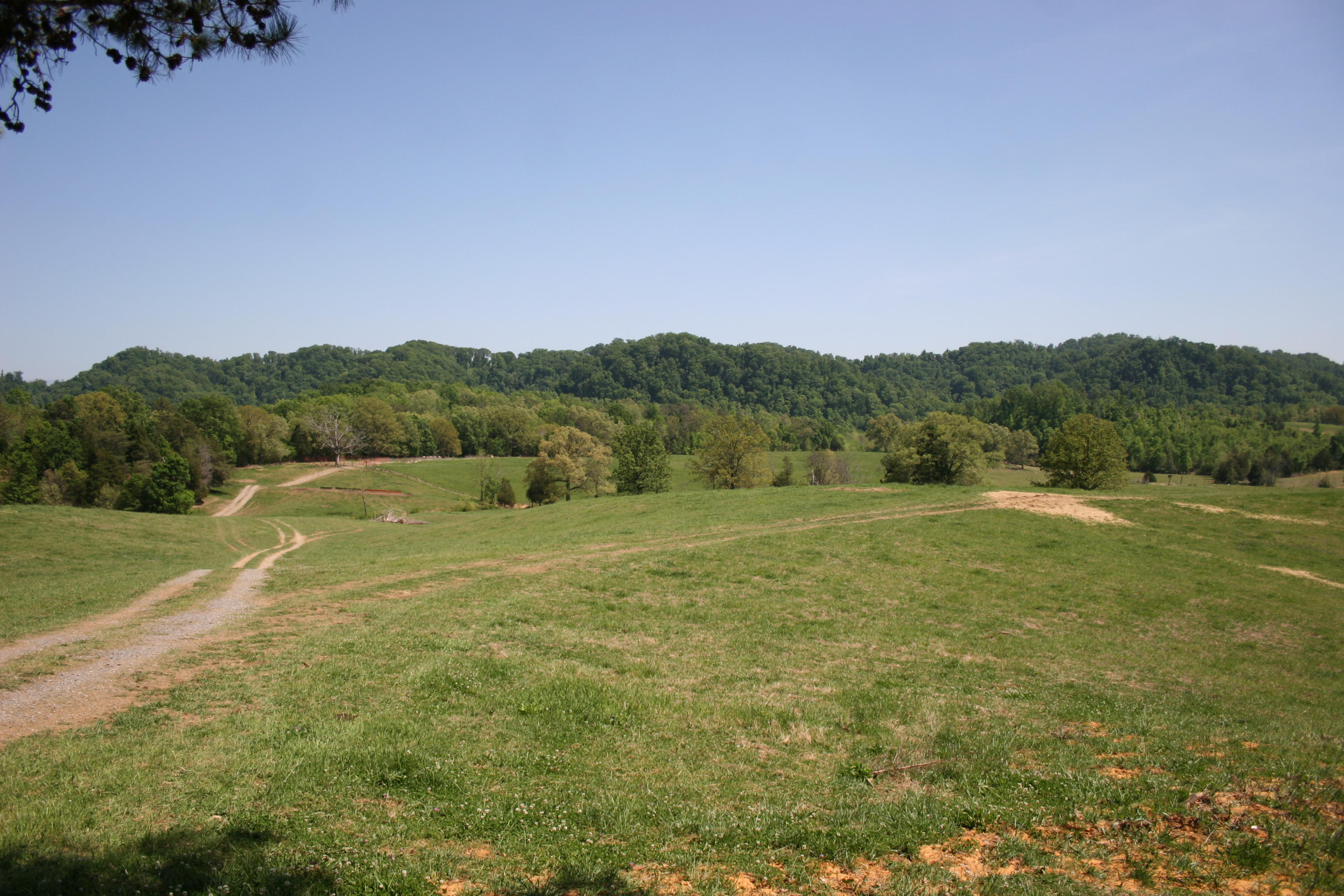 Tilley Road Madisonville, TN 37354 - Photo 4 of 24 IMG_0843