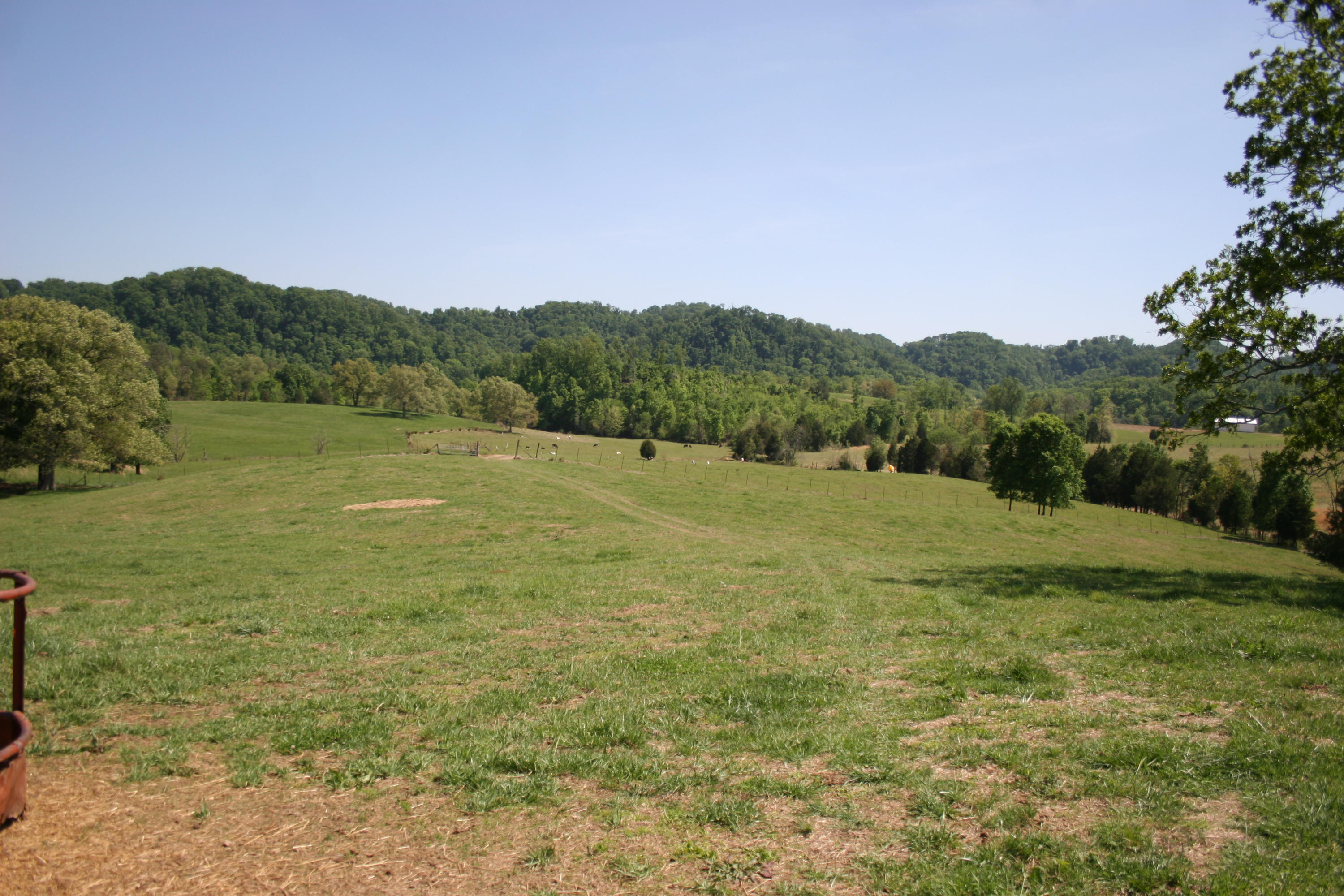 Tilley Road Madisonville, TN 37354 - Photo 7 of 24 IMG_0846