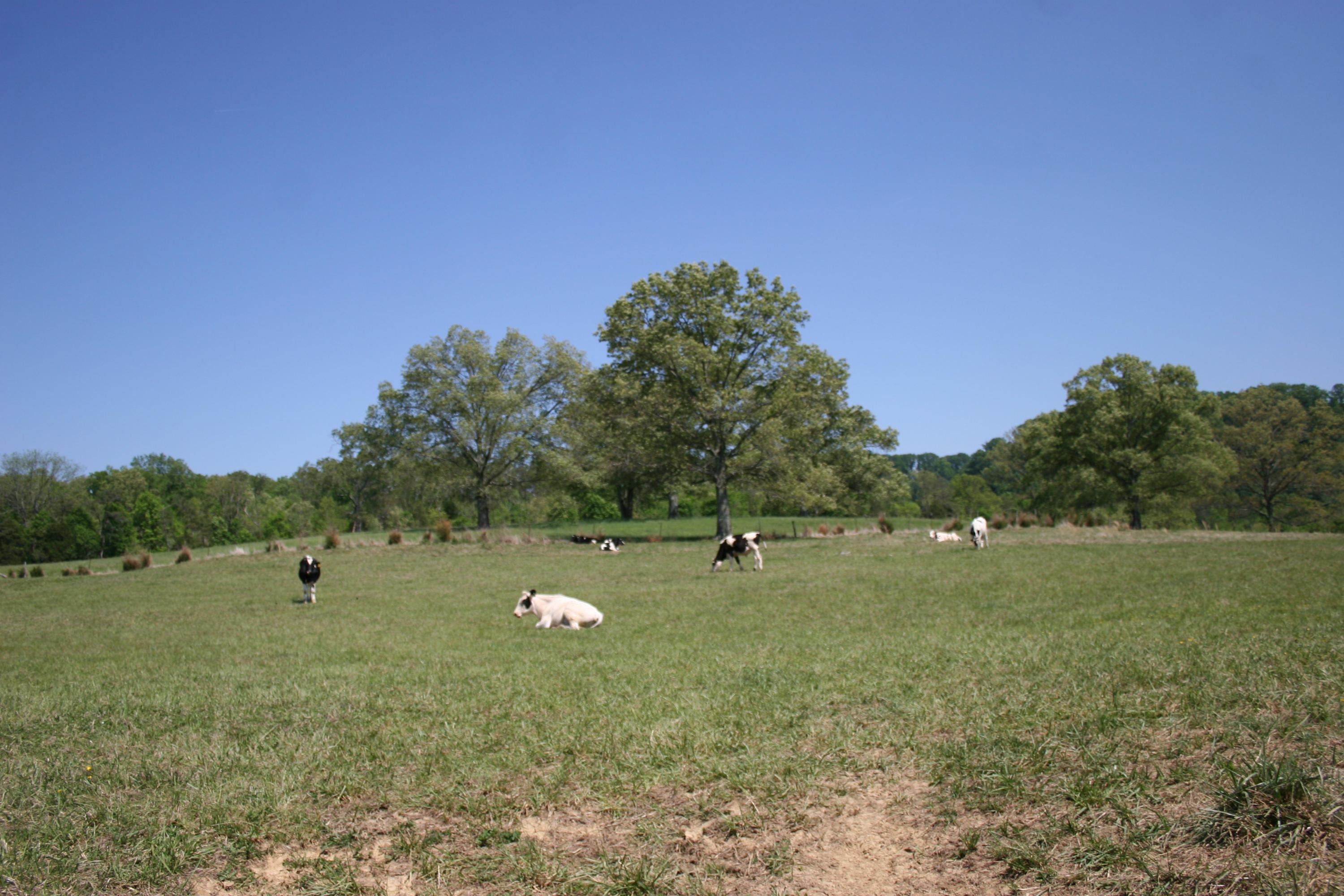 Tilley Road Madisonville, TN 37354 - Photo 8 of 24 IMG_0847