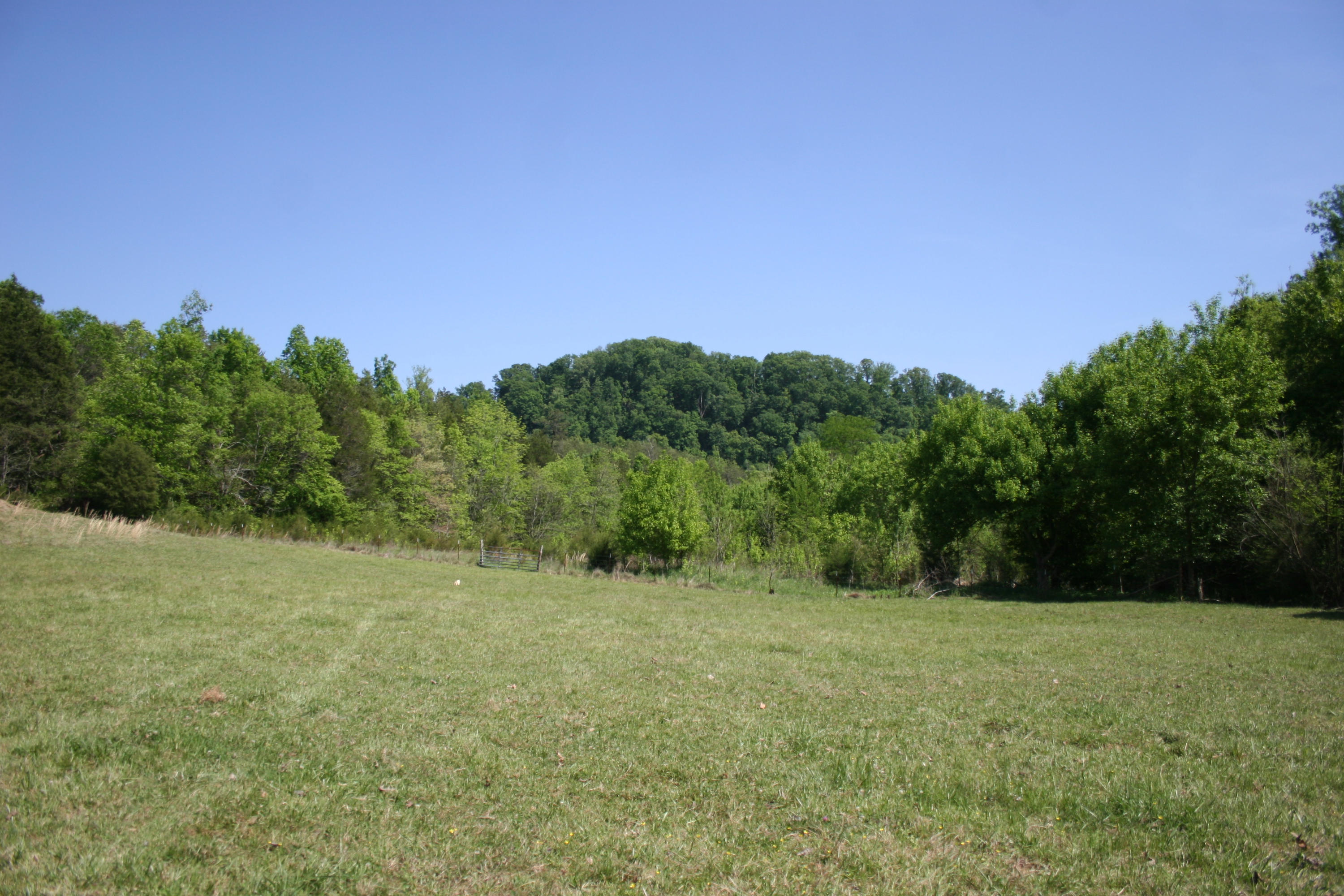 Tilley Road Madisonville, TN 37354 - Photo 9 of 24 IMG_0849