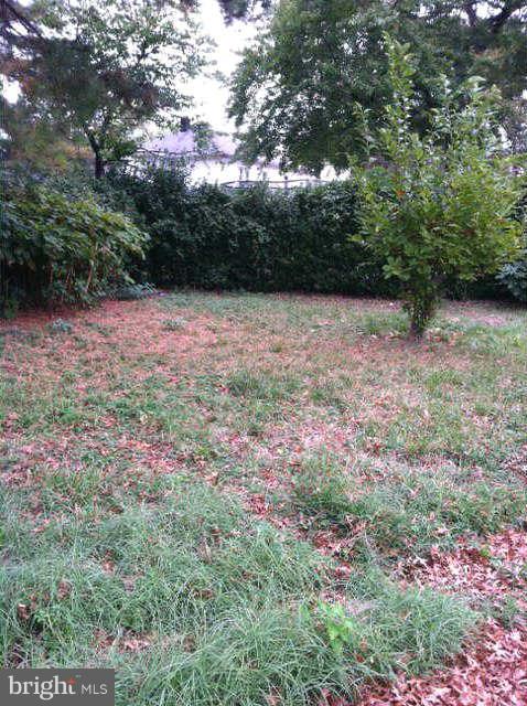 3050 Parktowne Road Baltimore, MD 21234 - Photo 14 of 14 Level Back Yard