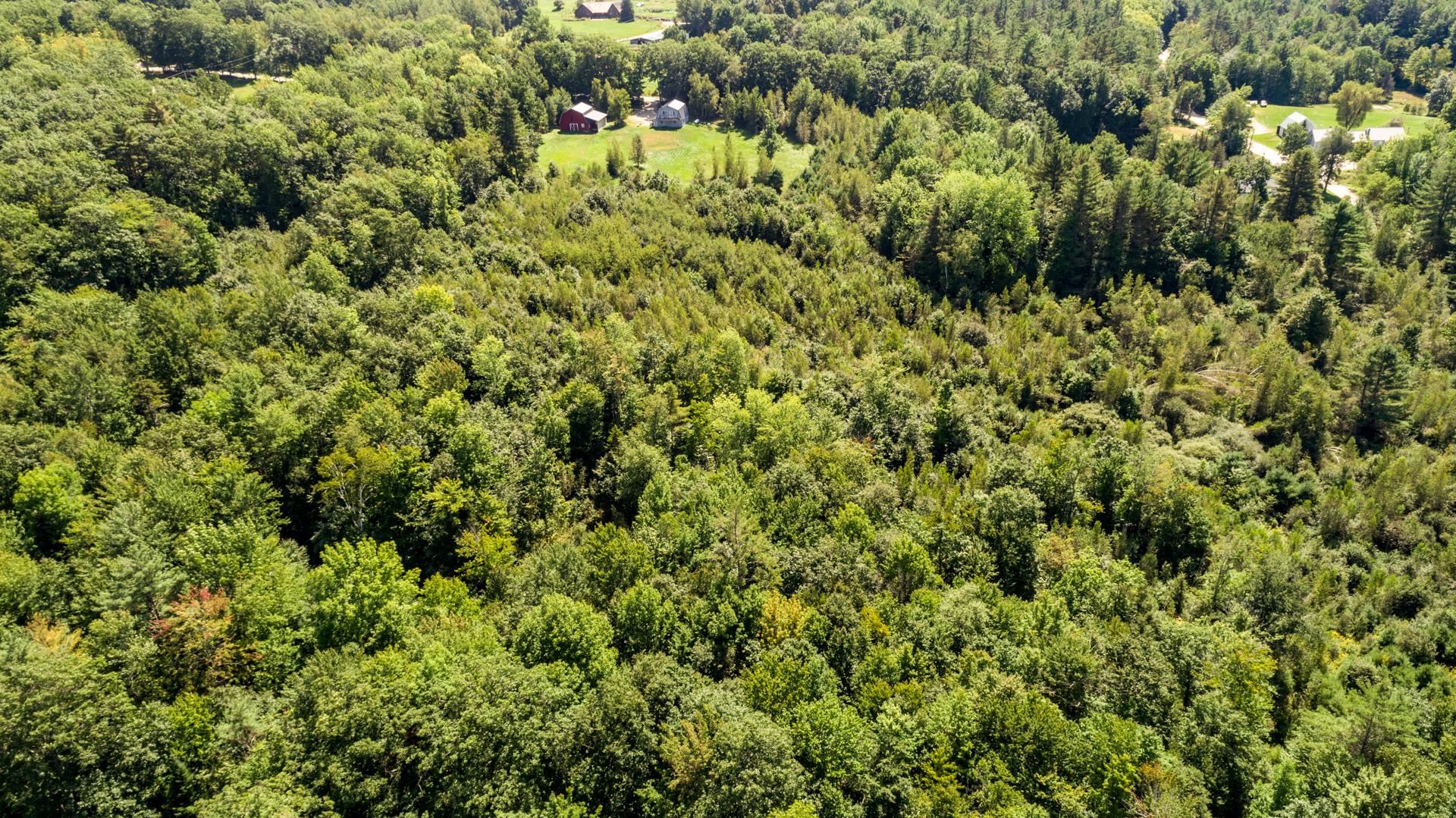 392 Lear Hill Road Newport, NH 03773 - Photo 3 of 5