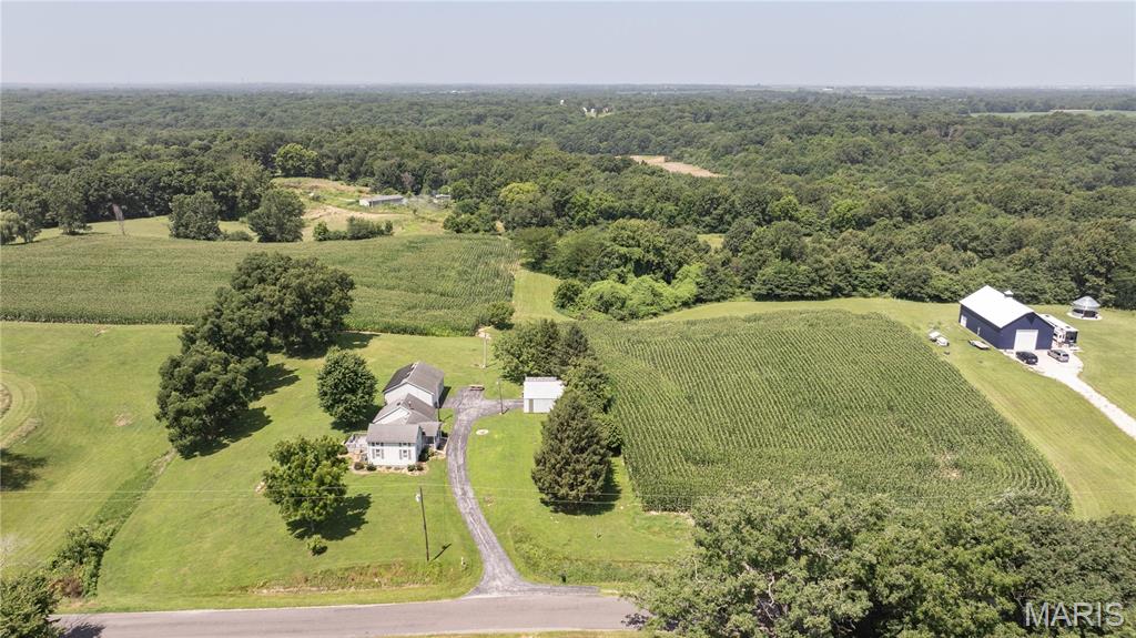 18907 Grange Hall Road Brighton, IL 62012 - Photo 6 of 47
