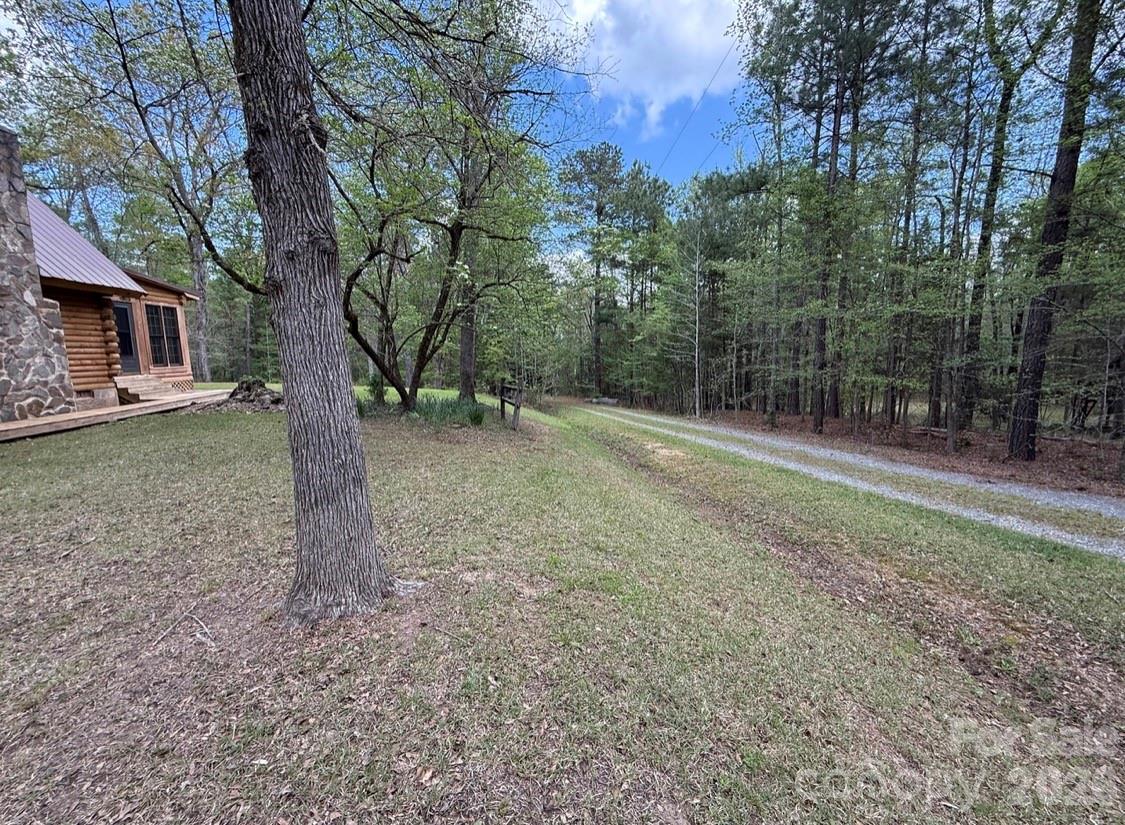 57 Club Lane Winnsboro, SC 29180 - Photo 33 of 48 a view of a yard with a tree
