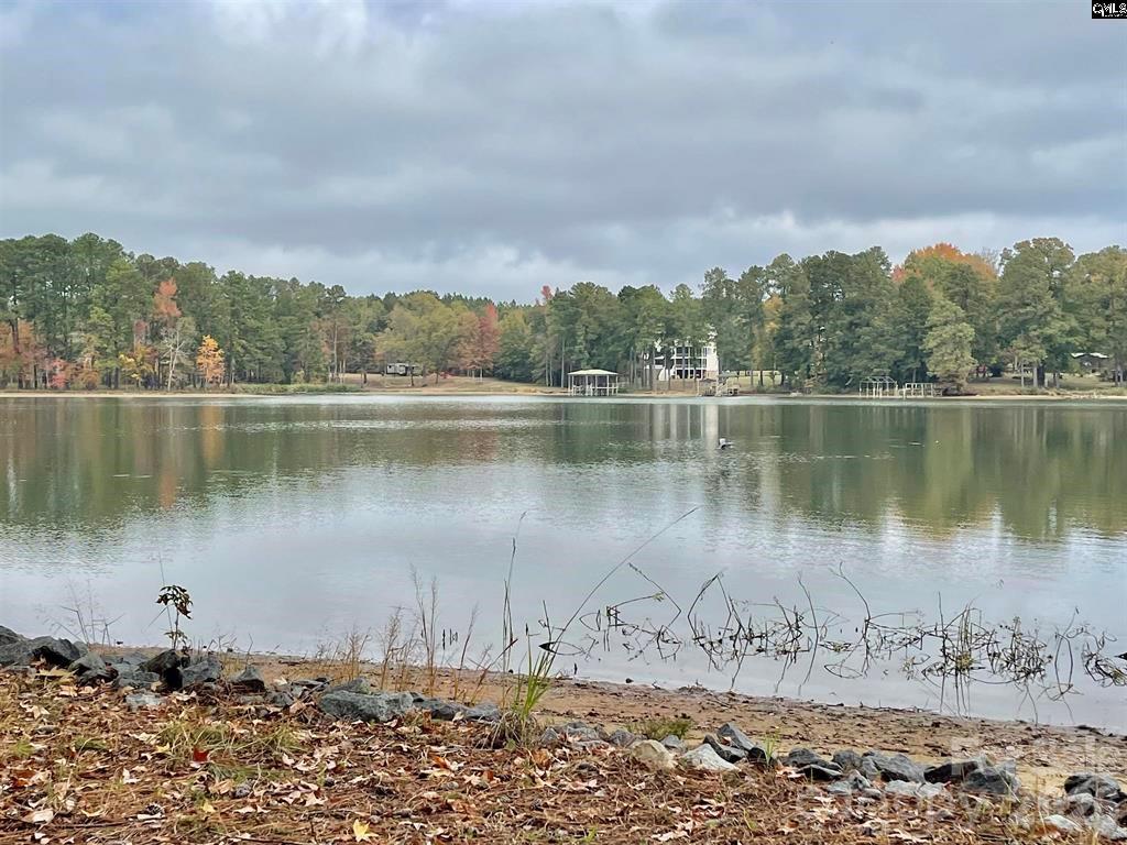 57 Club Lane Winnsboro, SC 29180 - Photo 46 of 48 a view of a lake with a mountain