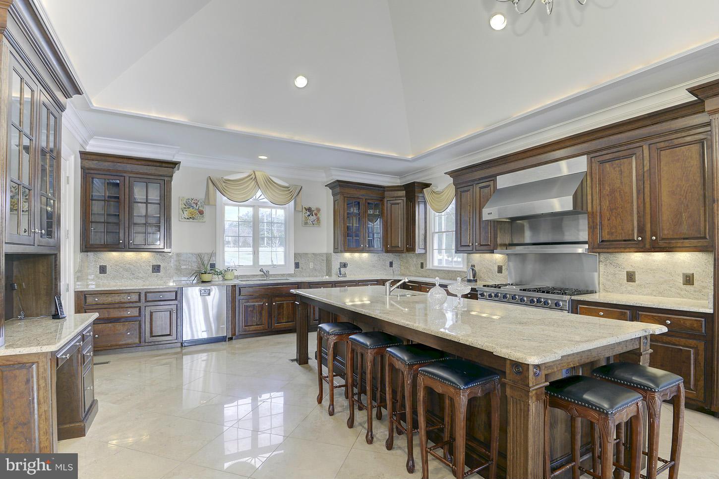 2310 Hunter Mill Road Vienna, VA 22181 - Photo 8 of 30 Kitchen