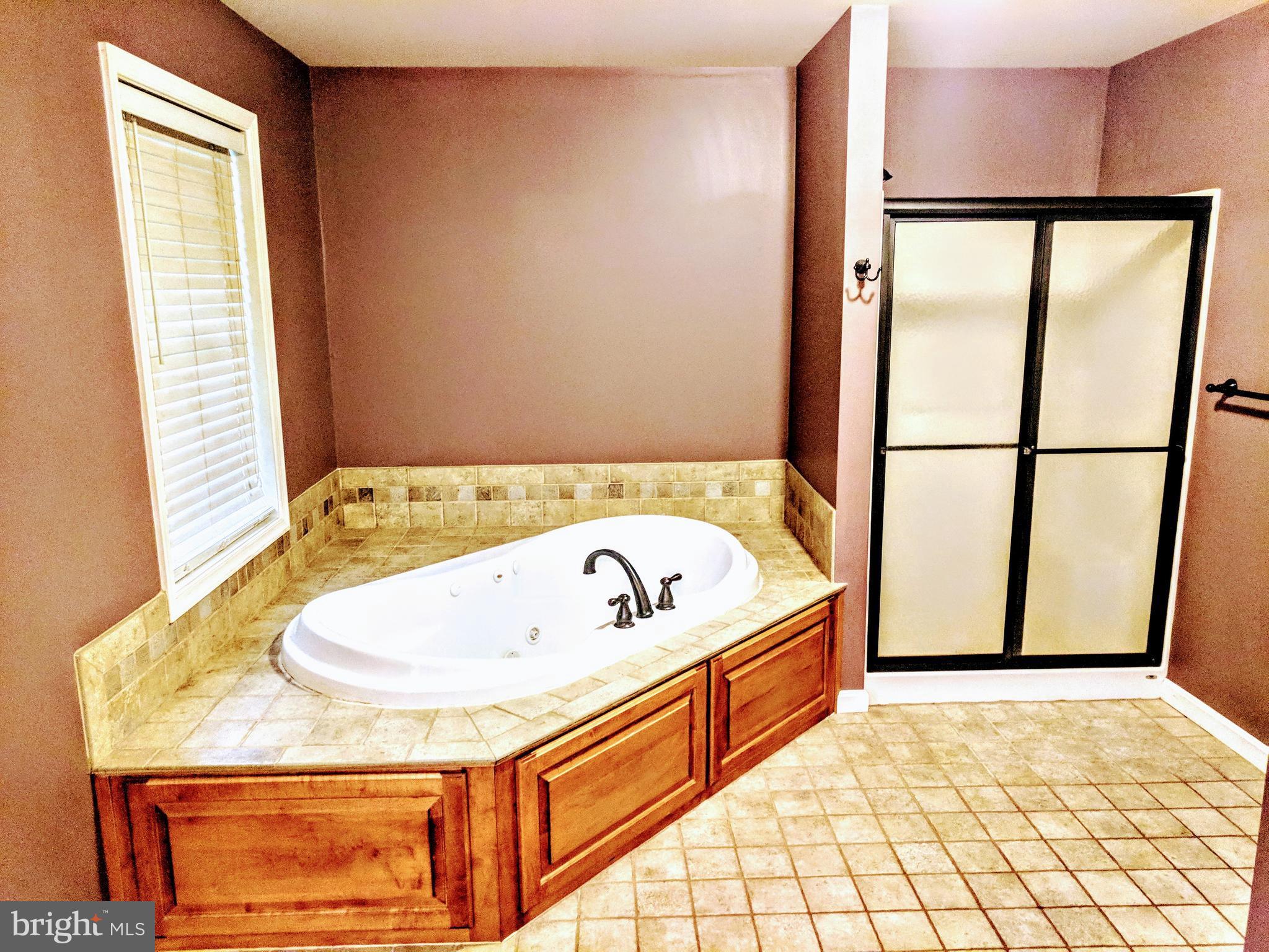 13180 Independence Road Clear Spring, MD 21722 - Photo 24 of 30 Amazing Soaking Tub