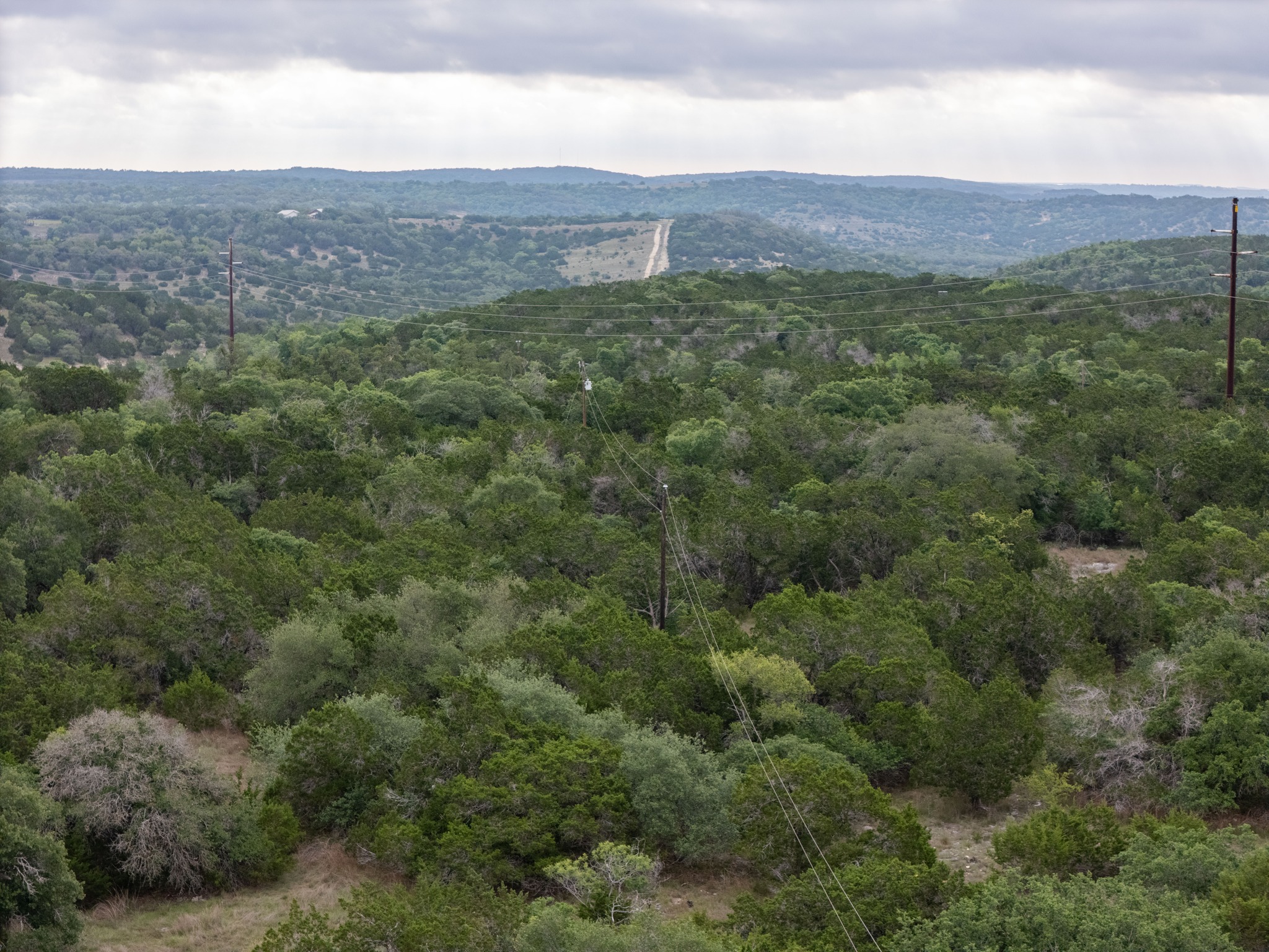 -altwein Rd 17.91 Acres Altwein Road Blanco, TX 78606 - Photo 22 of 33 a view of a lush green field