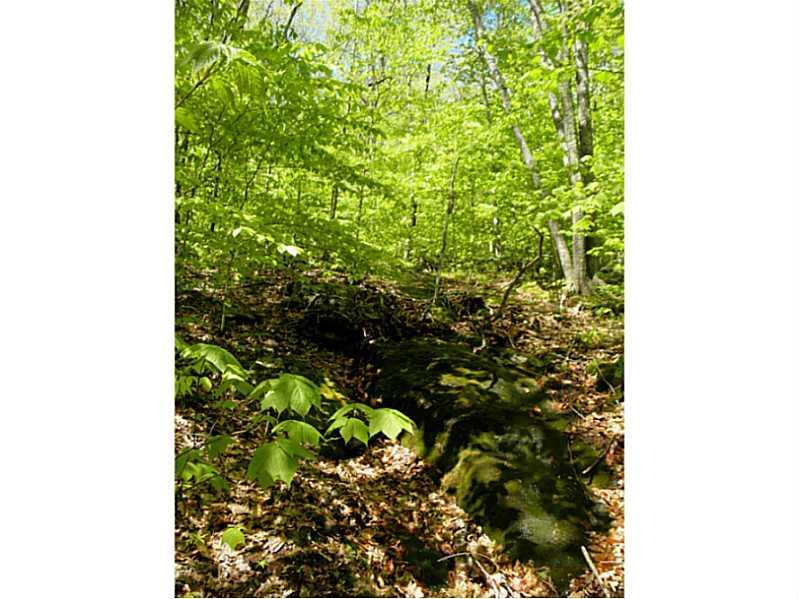 212 Barnestown Road Camden, ME 04843 - Photo 15 of 19 Land.