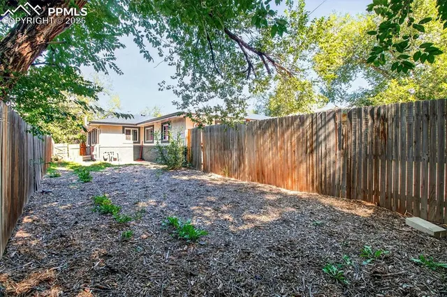 a view of backyard with plants and large trees
