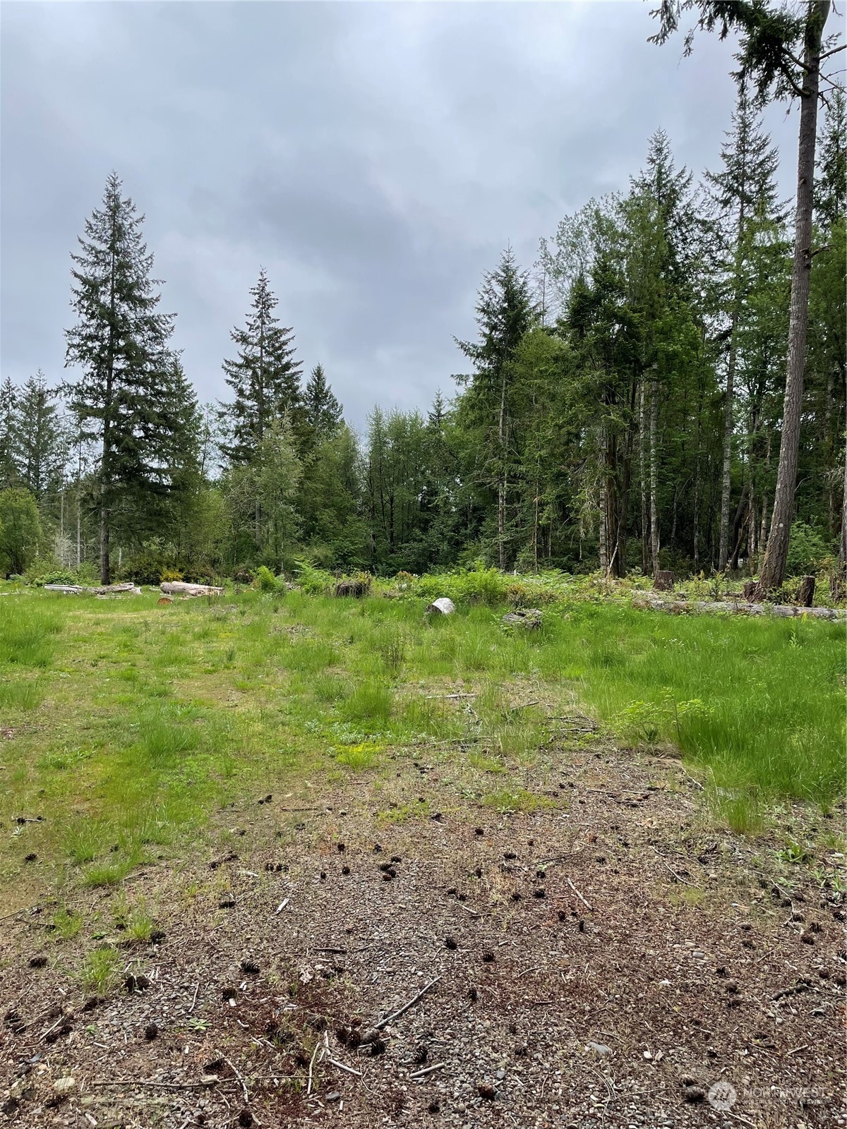 6919 Crescent Beach Road Northwest Vaughn, WA 98394 - Photo 9 of 20 Gallery Image 9