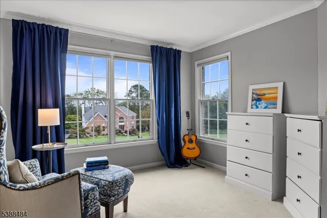 a living room with furniture and a gate