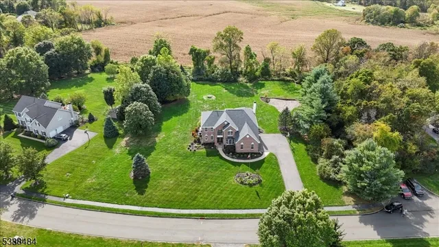 an aerial view of a garden