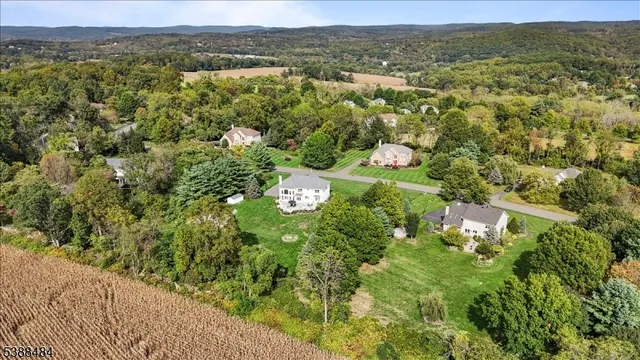 a view of a forest with a street