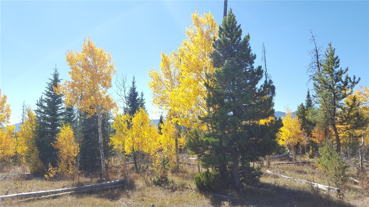 12200 Ute Pass Road Silverthorne, CO 80498 - Photo 11 of 25 Gallery Image 11