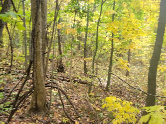 $26,500 | 74032 Ridgeway Drive, Lawton, MI 49065