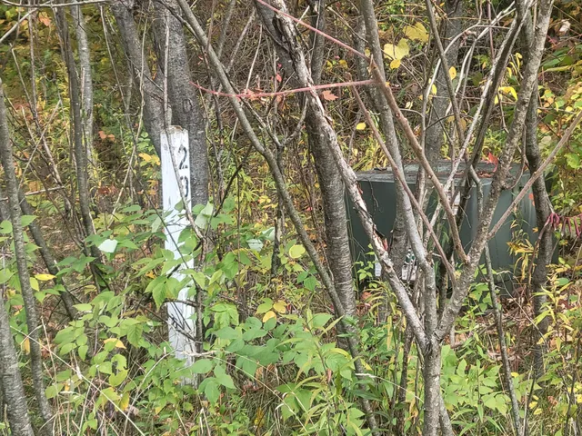 $26,500 | 74032 Ridgeway Drive, Lawton, MI 49065