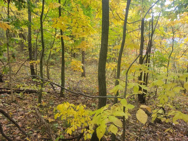 $26,500 | 74032 Ridgeway Drive, Lawton, MI 49065