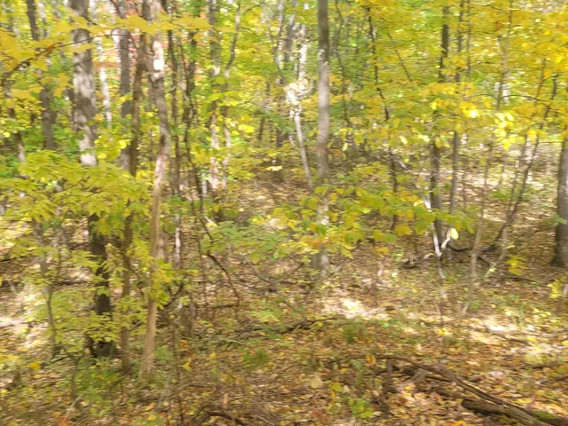 $26,500 | 74032 Ridgeway Drive, Lawton, MI 49065