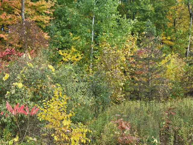 $26,500 | 74032 Ridgeway Drive, Lawton, MI 49065