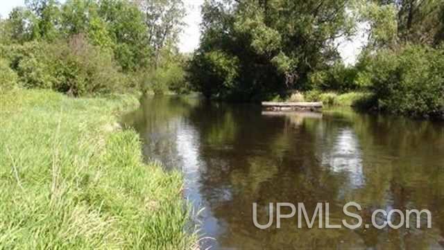 Tbd Brule River Alpha, MI 49902 - Photo 3 of 10
