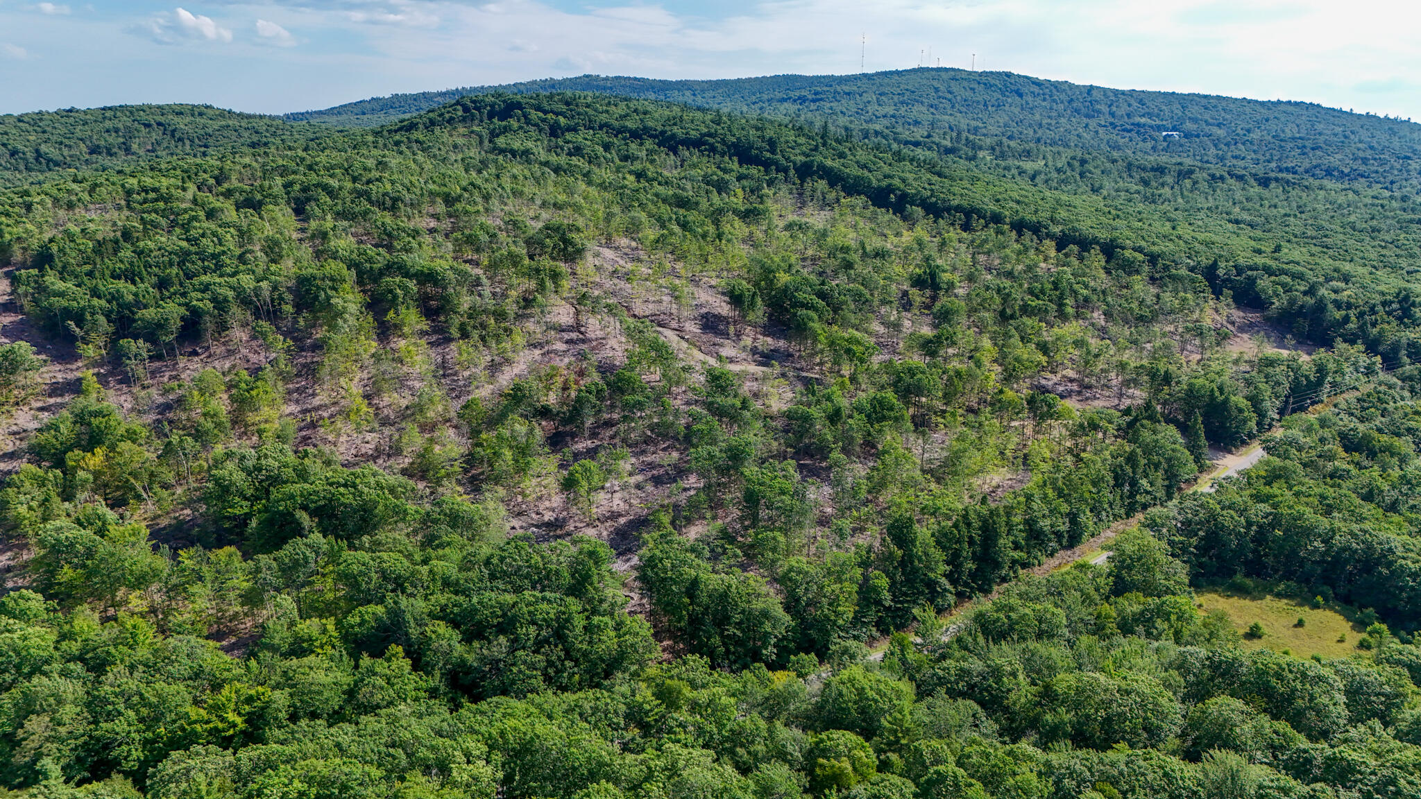 40.9 Streaked Mountain Road Hartford, ME 04220 - Photo 24 of 25 dji_fly_20240718_163618_0056_17213513928