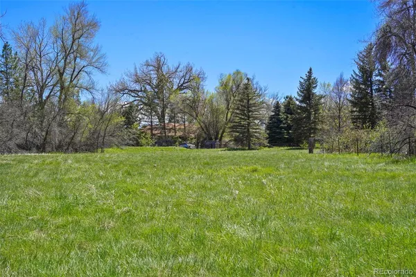 a view of grassy field with benches and trees all around