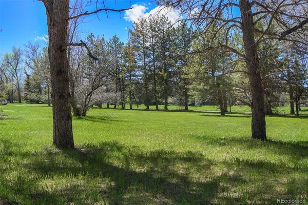 a view of a field with trees in the background