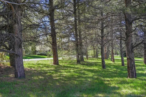 a view of green field with trees in the background