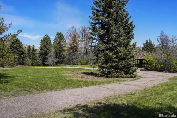 a view of a field with trees in the background