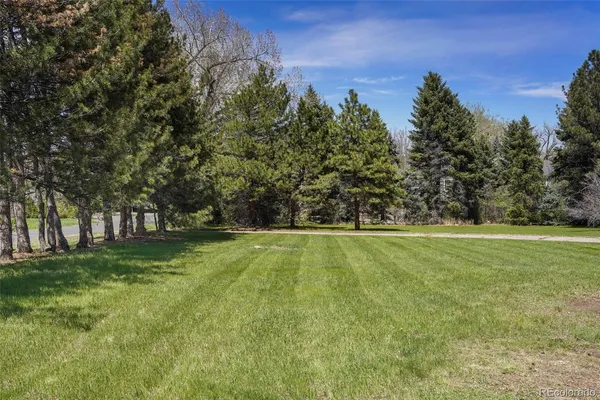 a view of yard with trees