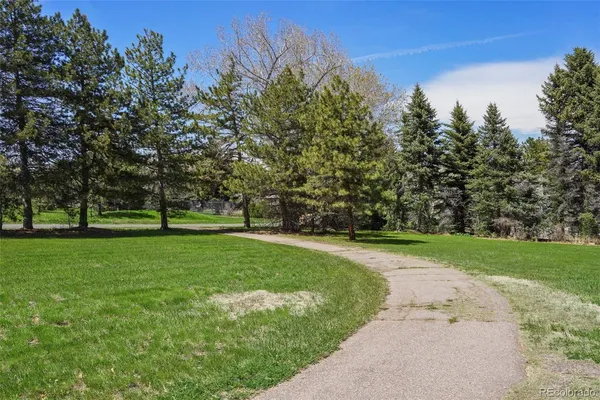 a view of a park with large trees