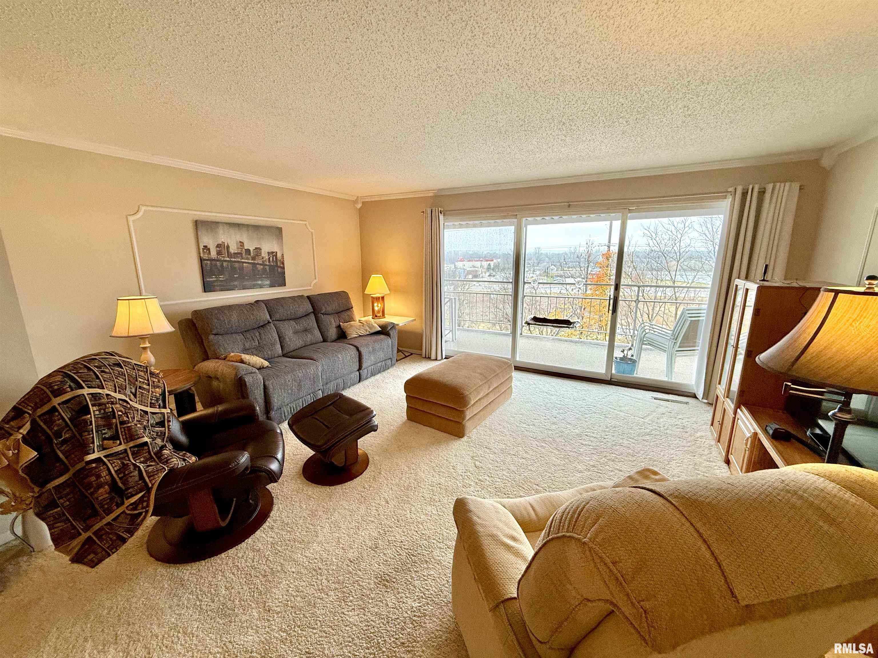 3721 35th Street, Unit 4 Moline, IL 61265 - Photo 9 of 24