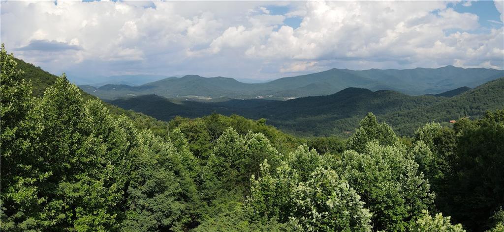 a view of a lush green forest with a mountain