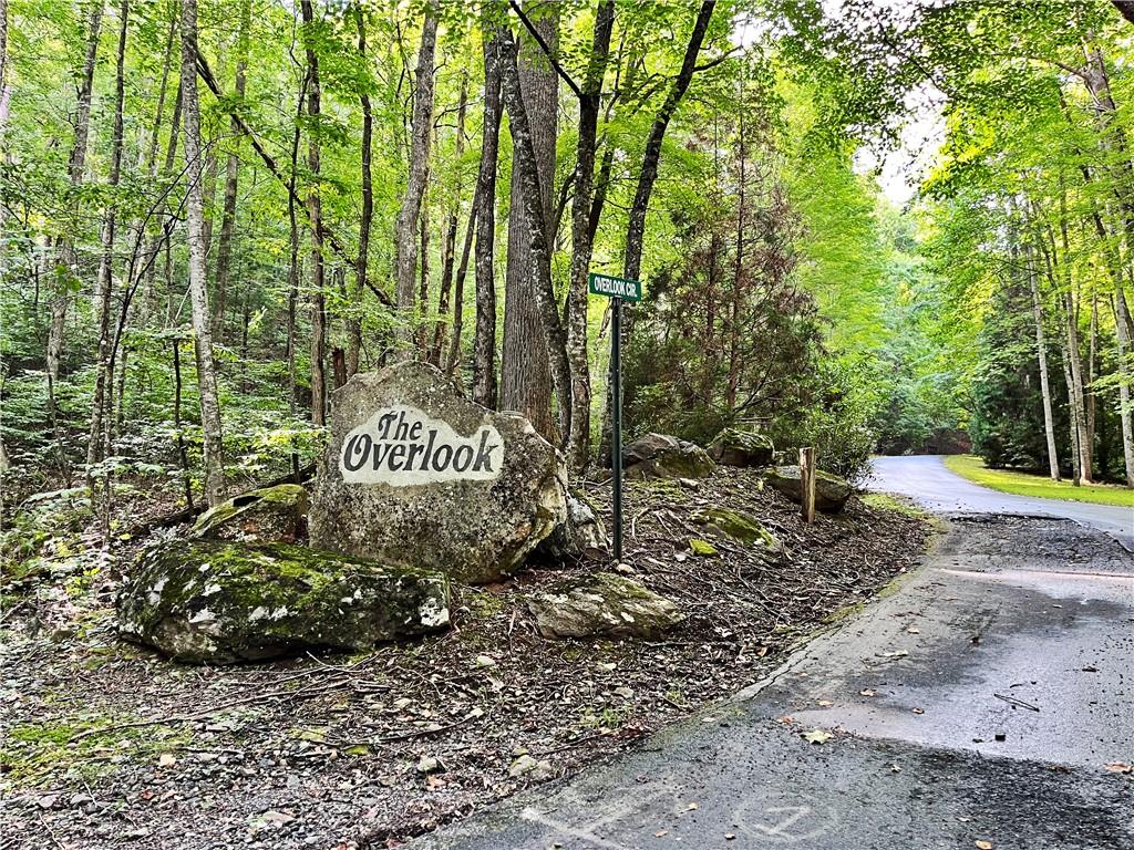 0 Overlook Loop Young Harris, GA 30582 - Photo 11 of 11 a view of a street with large trees