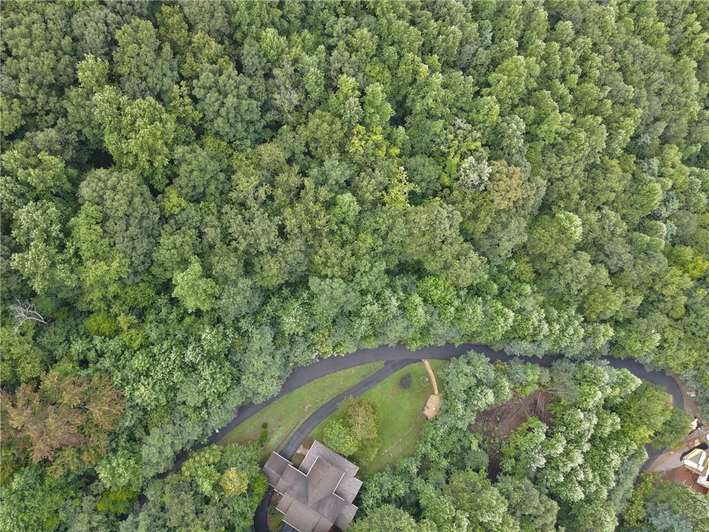 0 Overlook Loop Young Harris, GA 30582 - Photo 3 of 11 a view of a forest with a tree