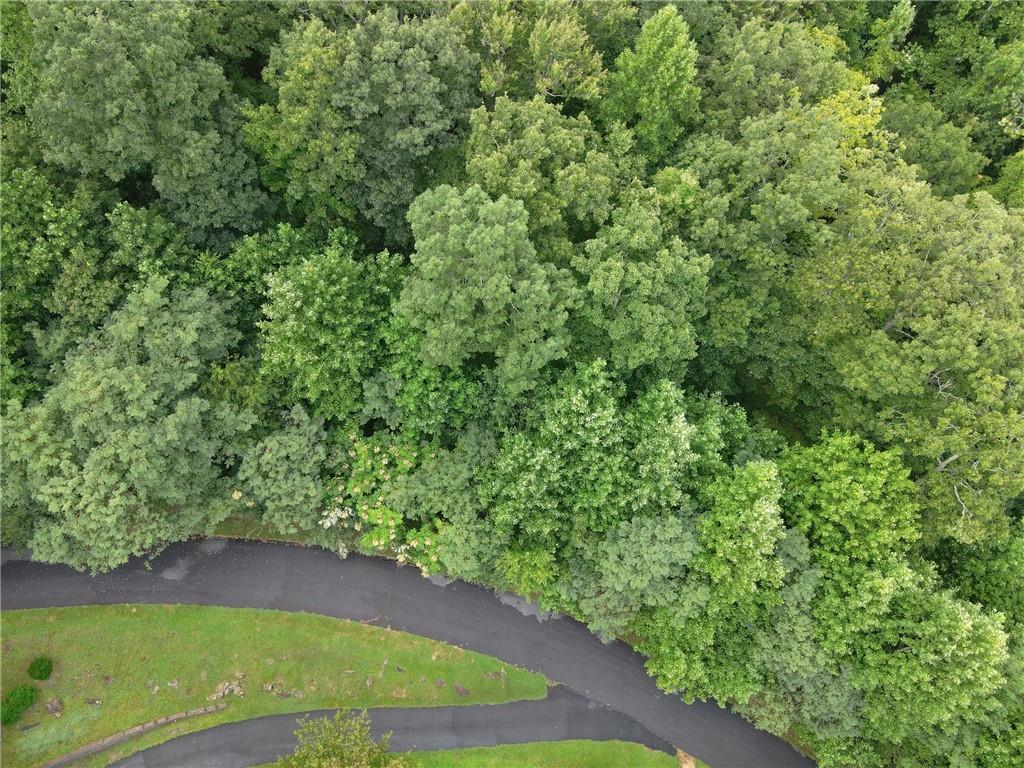0 Overlook Loop Young Harris, GA 30582 - Photo 4 of 11 a view of a yard