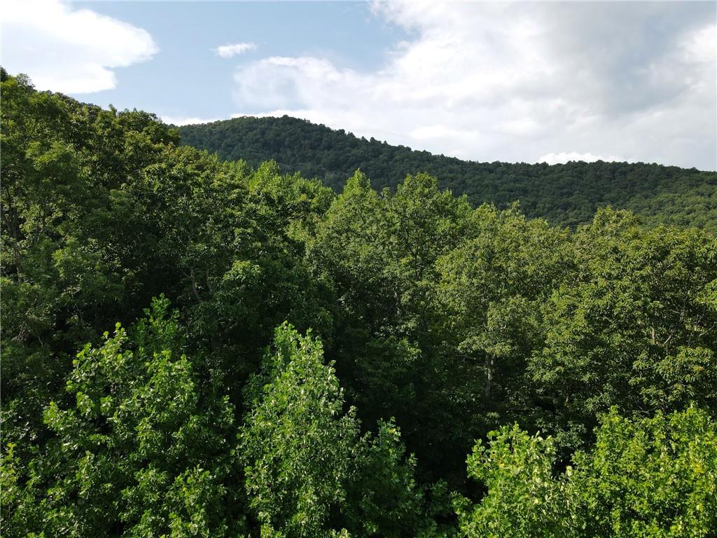 0 Overlook Loop Young Harris, GA 30582 - Photo 6 of 11 a view of a green field with lots of bushes