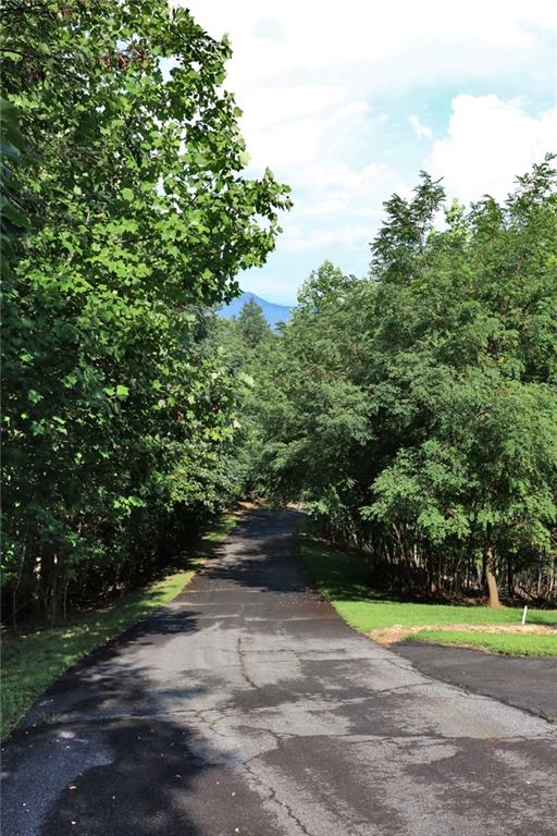 0 Overlook Loop Young Harris, GA 30582 - Photo 7 of 11 a view of road with grass and trees