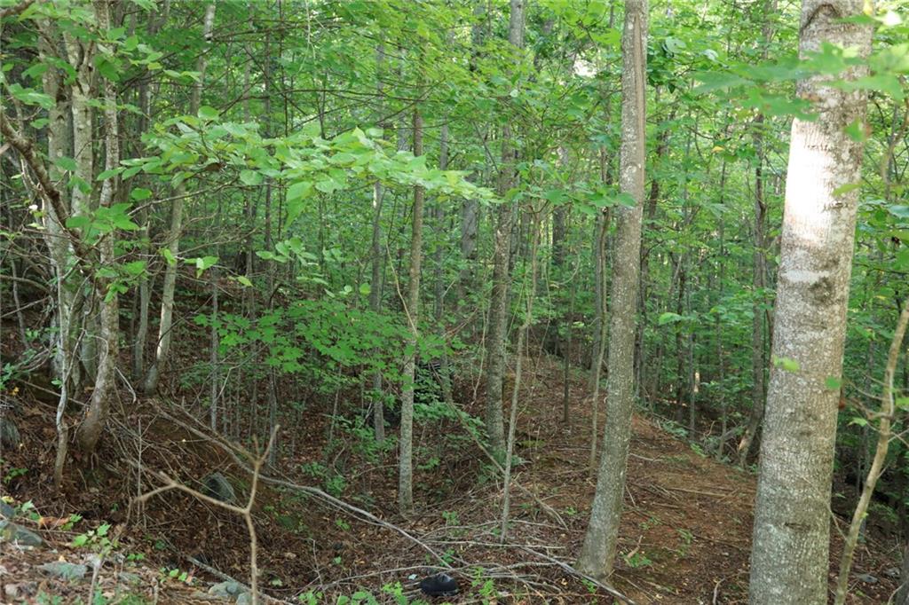 0 Overlook Loop Young Harris, GA 30582 - Photo 10 of 11 a view of a bathroom