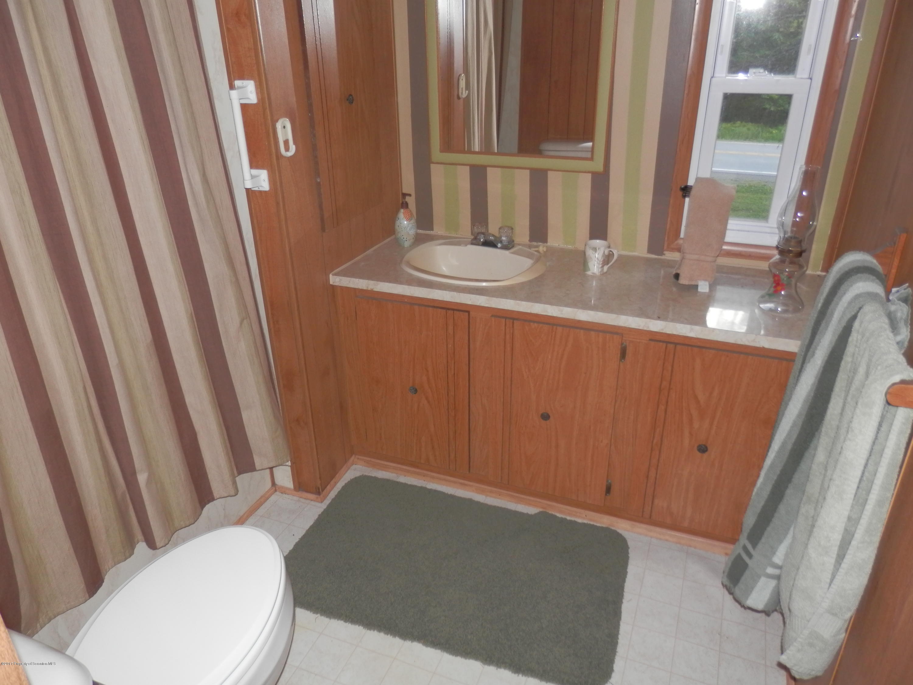 12339 Still Water Road Union Dale, PA 18470 - Photo 16 of 20 Full Bathroom