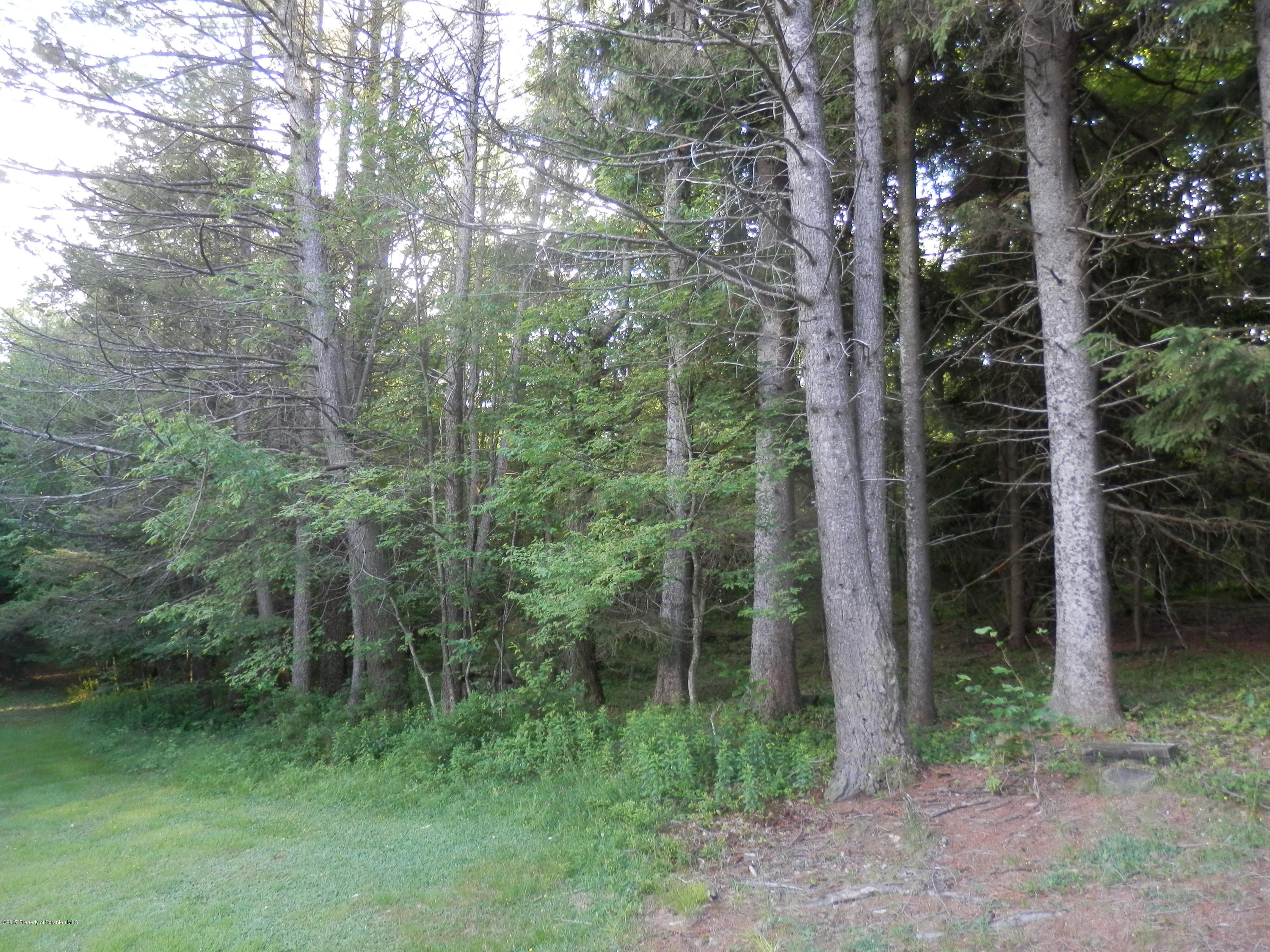 12339 Still Water Road Union Dale, PA 18470 - Photo 18 of 20 Yard