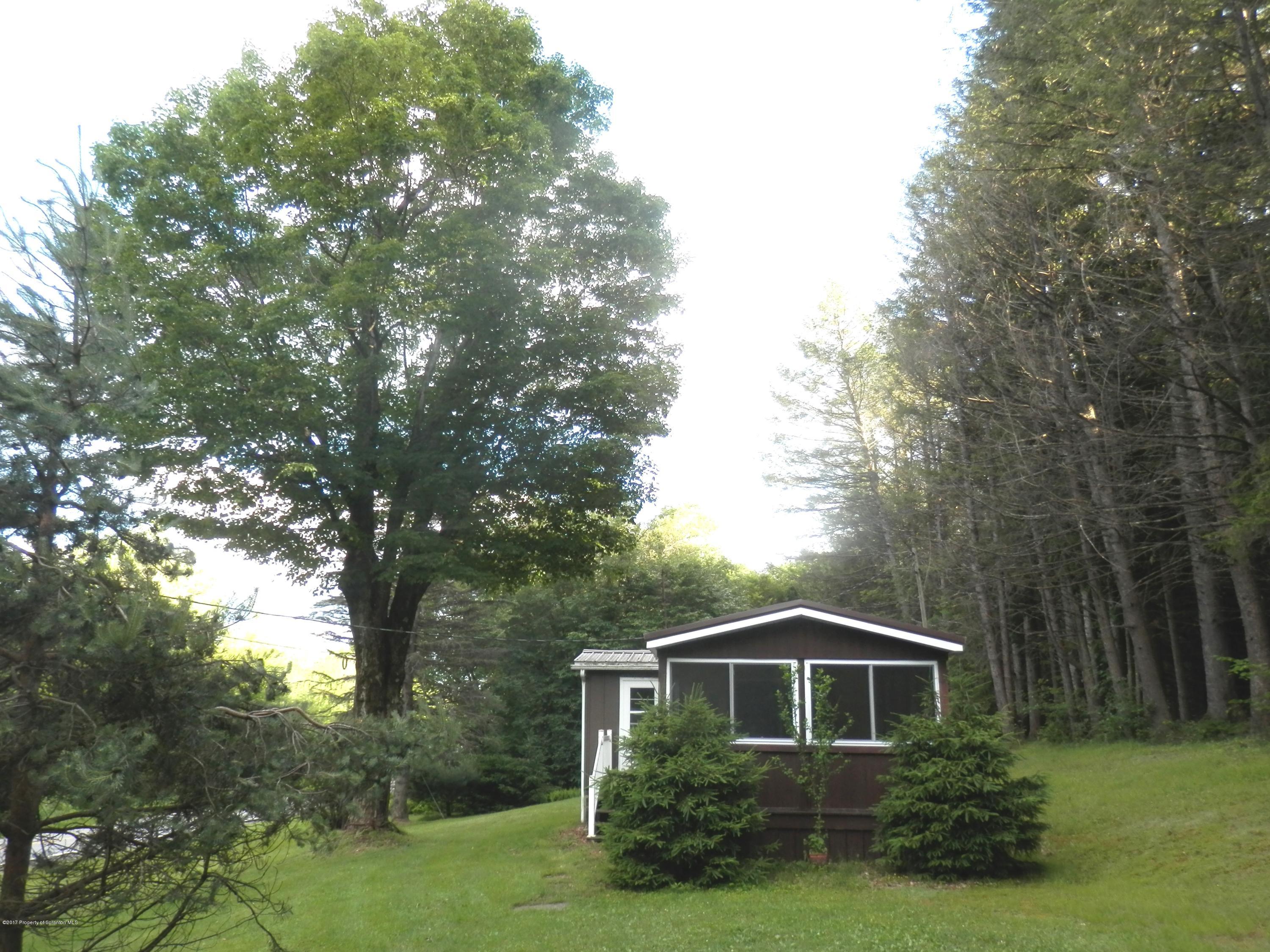 12339 Still Water Road Union Dale, PA 18470 - Photo 5 of 20 Side