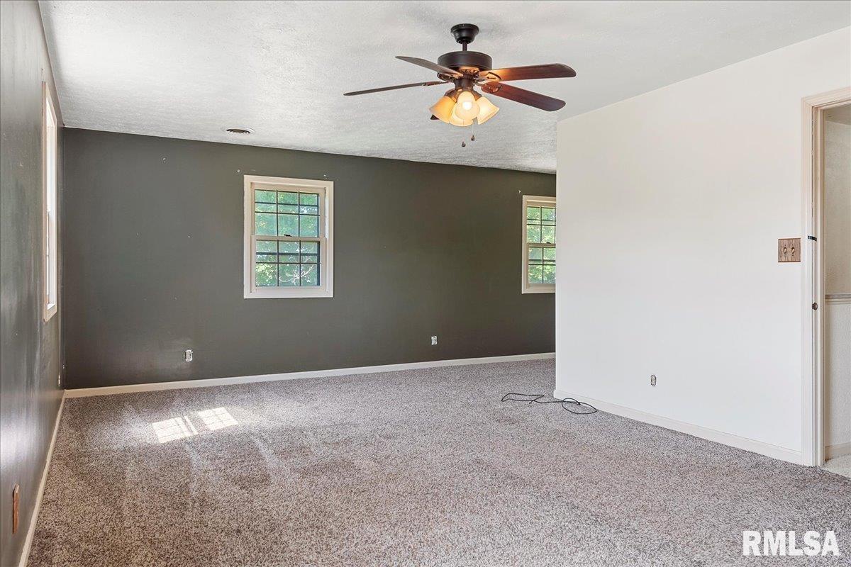 2229 Big Bend Road Taylorville, IL 62568 - Photo 23 of 45