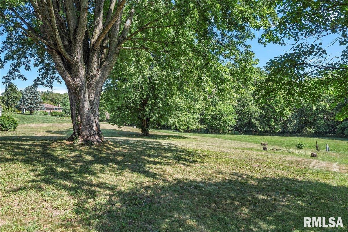 2229 Big Bend Road Taylorville, IL 62568 - Photo 45 of 45